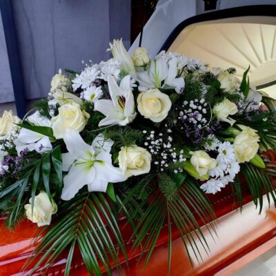 20230419_071207 Duży