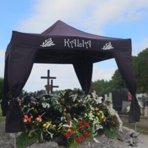 VideoCapture_20230902-154902-01